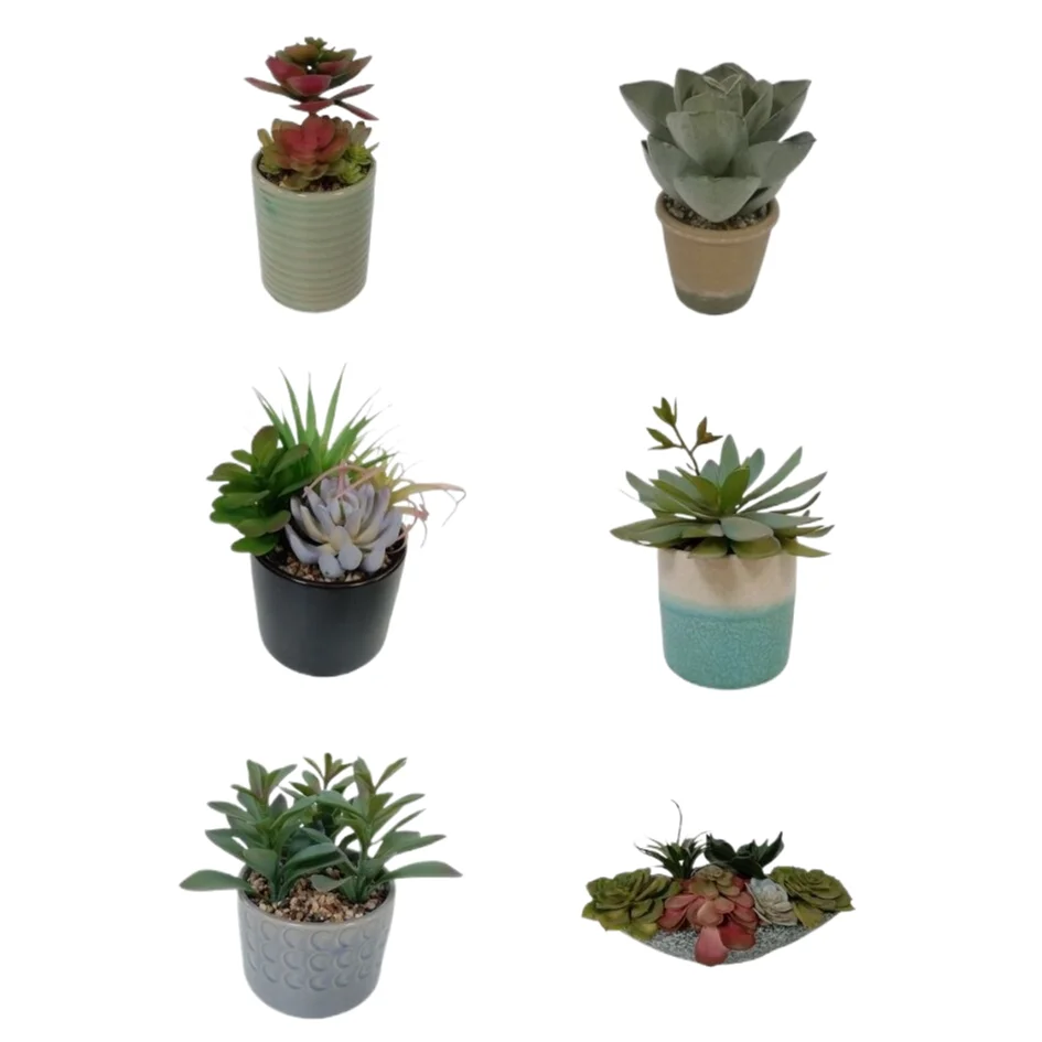 Simulation of succulent cactus potted office computer desktop decorations creative small ornaments