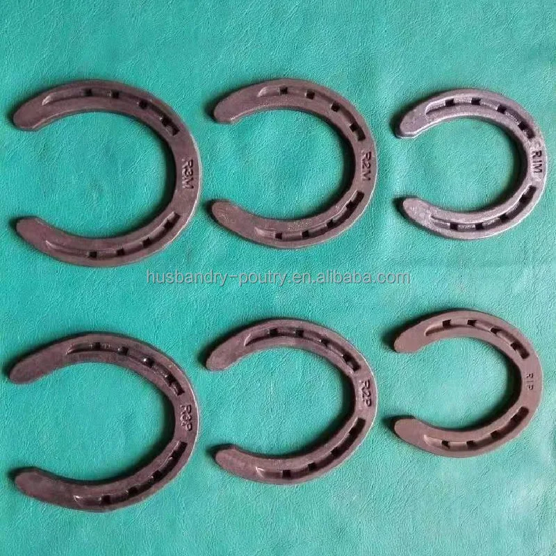 Horseshoe for Equestrian Horseshoes for Horses