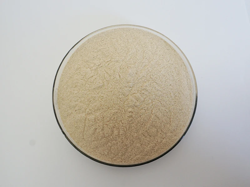 AUVO Neutral Protease Serrapeptase Enzyme Serrapeptase Powder