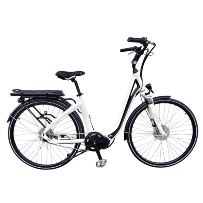 250W 13AH New Multipurpose Small Power Ultra Light Lithium Battery Electric Bicycle