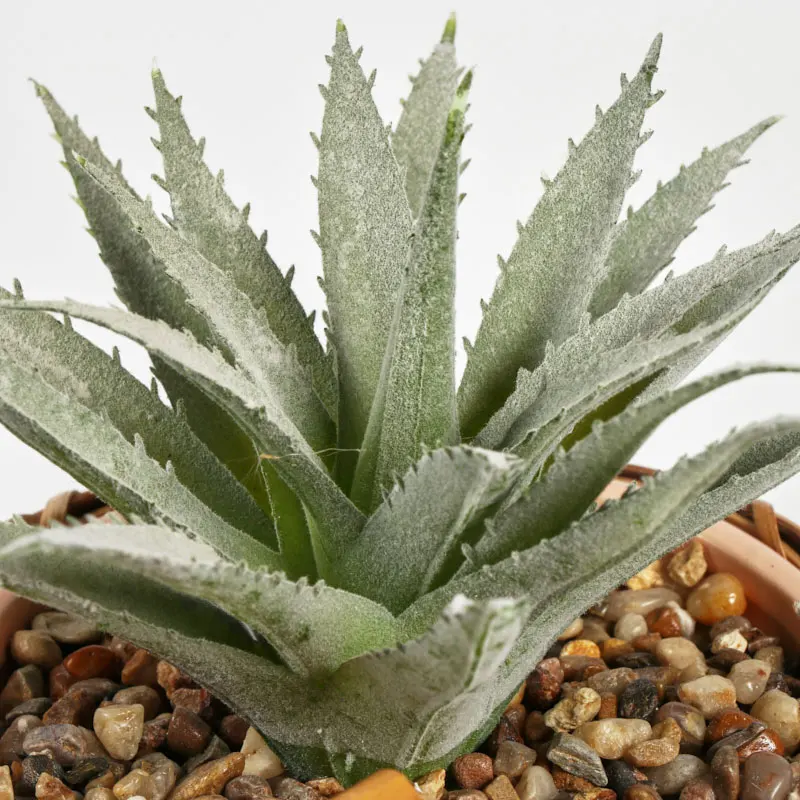 Patio Rattan Planter Boxes Bicycle Planters For Indoor Plants