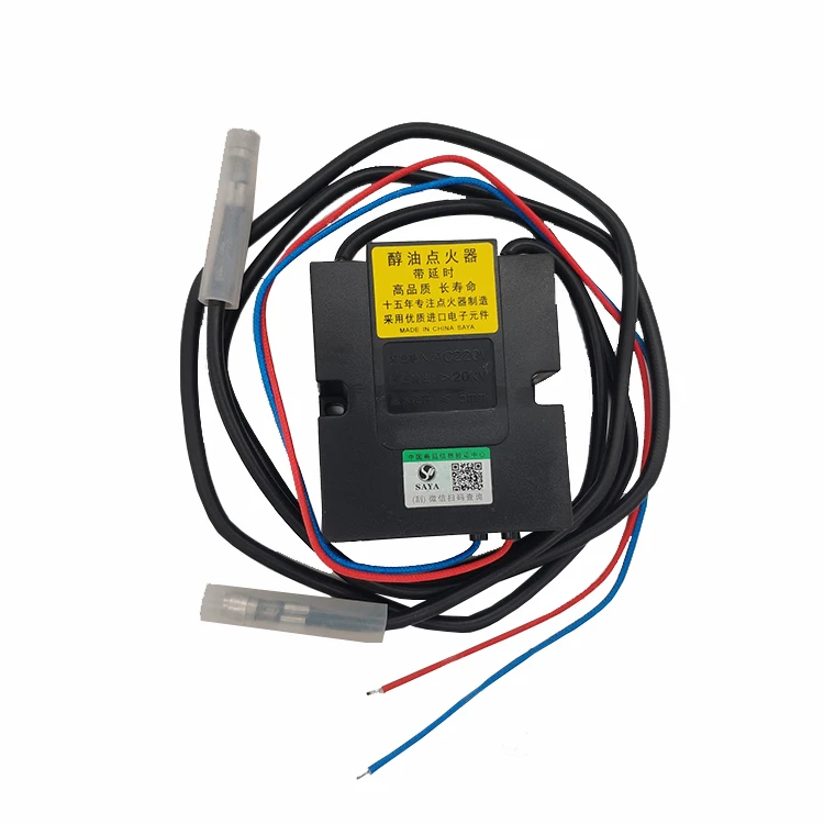 Good Quality Cheap Economic Gas Grill Igniter/Igniter For Gas Ignition Control