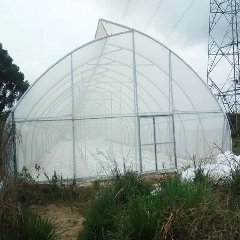 Agricultural Sawtooth Greenhouse with vertical hydroponic