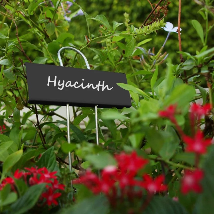 Stainless steel plant Label  Plant Marker Plate Gardening Nursery Accessories Plant tags metal label stakes