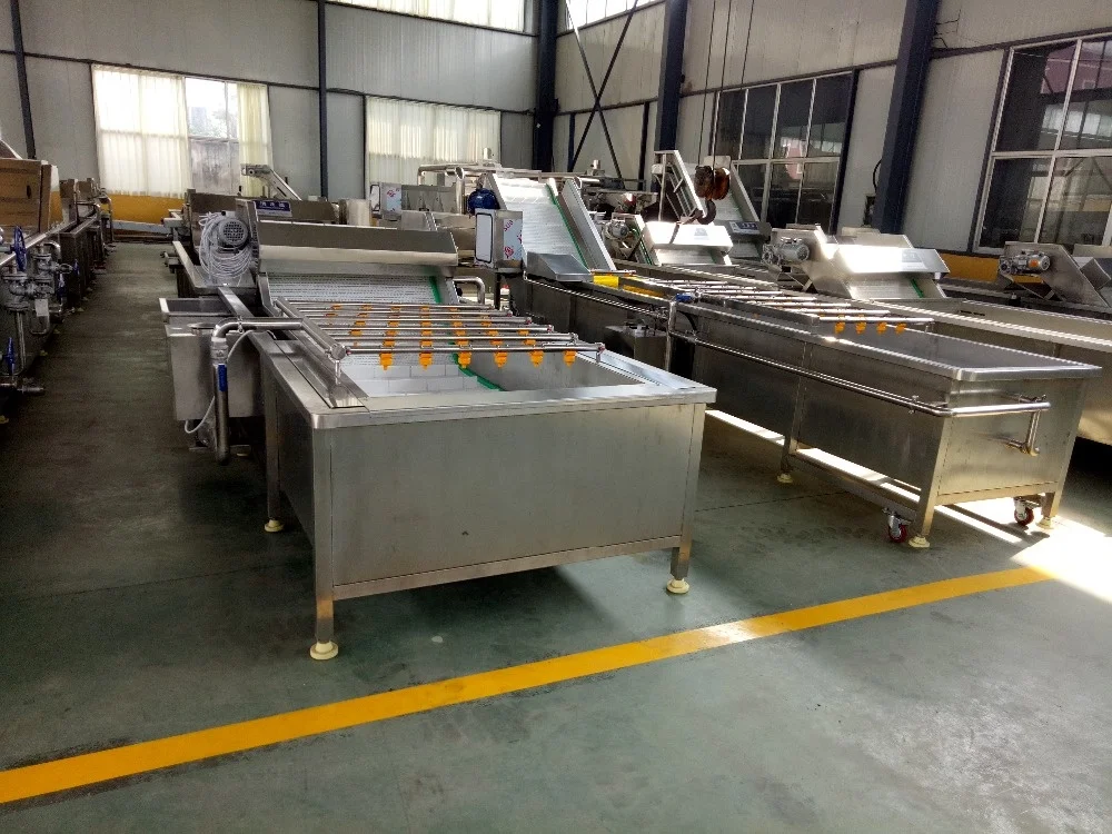 Commercial fruit washer equipment banana washing machine price
