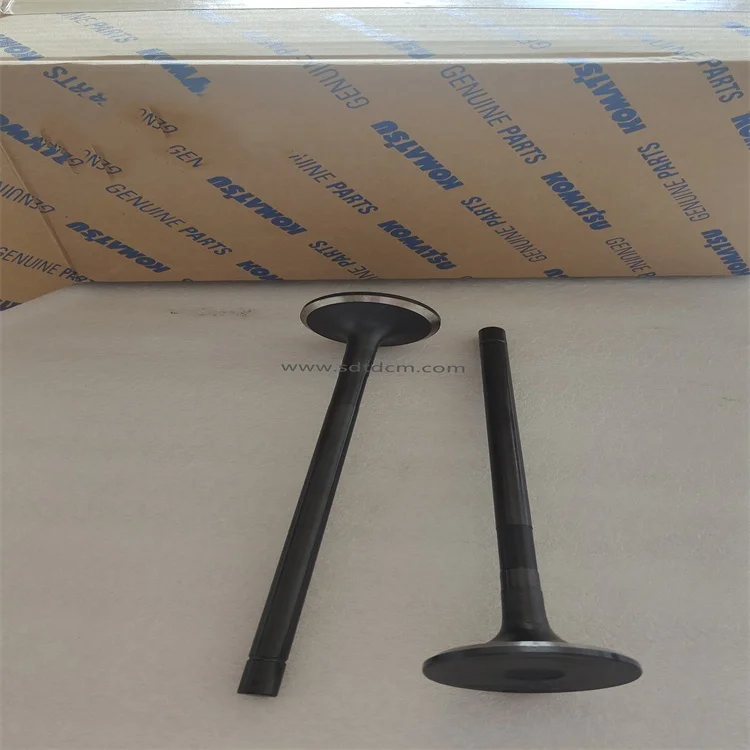 Intake and Exhaust Engine Valve 6D170 E3 Engine OEM 6240-41-4110 6240-41-4210