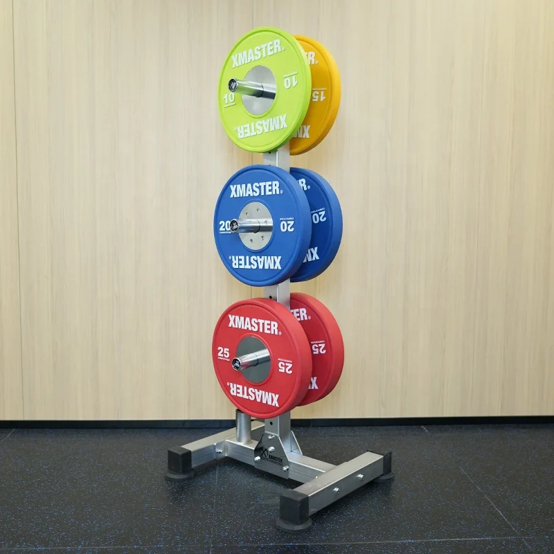 Best-selling OEM gym Weight Lifting weight plate Storage Rack with six pins