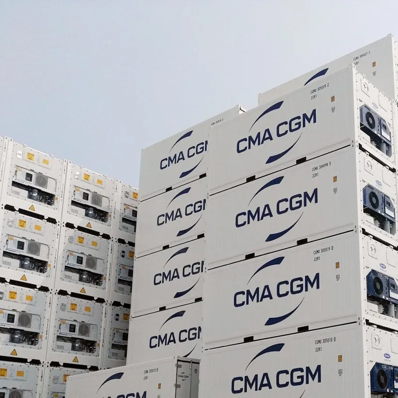 freeze grade container Cold Room Ultra Freezer Storage container freezer for quick freezing and fresh Keeping