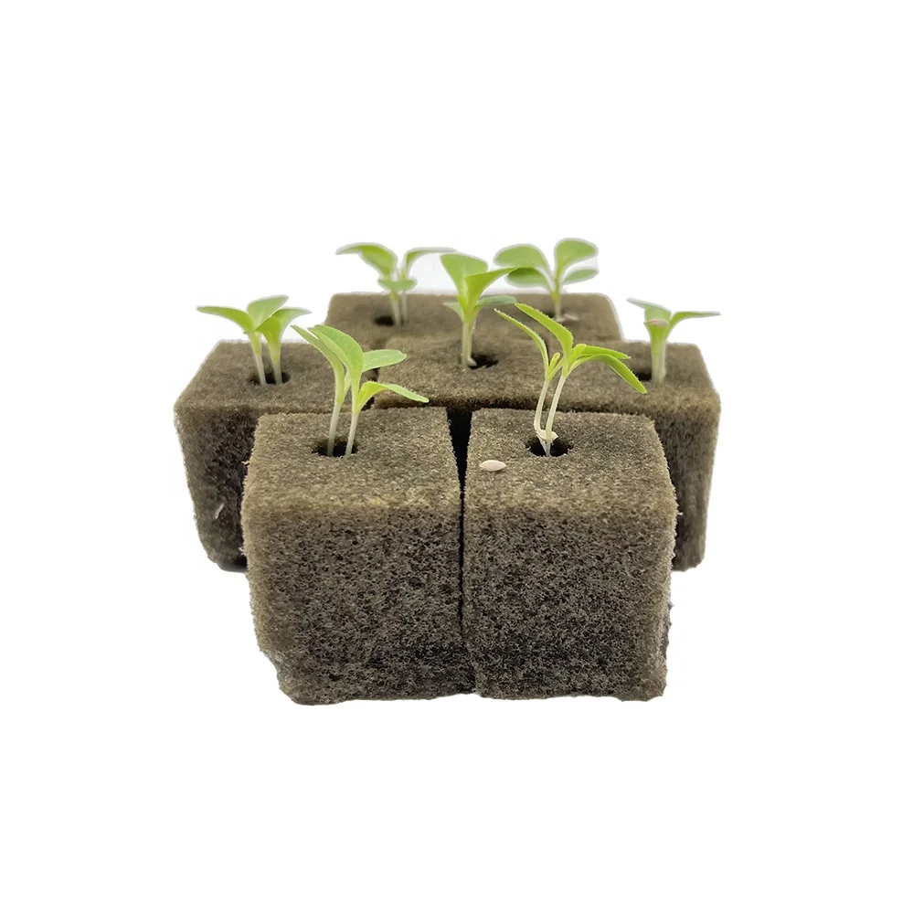 Cheap seedling  Cubes with Hole  Agriculture Cube  For farm hydroponic.