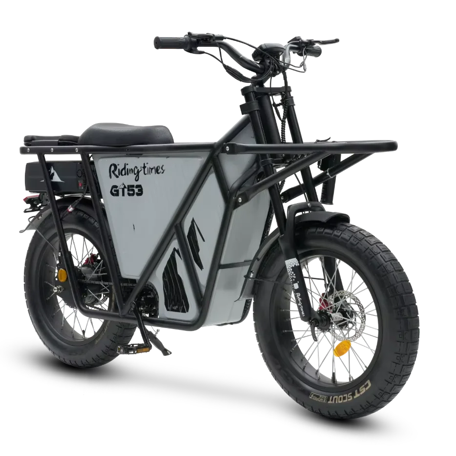 EU US warehouse SUNNYTIMES 2024 new GT53 2000w 48V 23.4Ah Cargo e-bike electric ebike