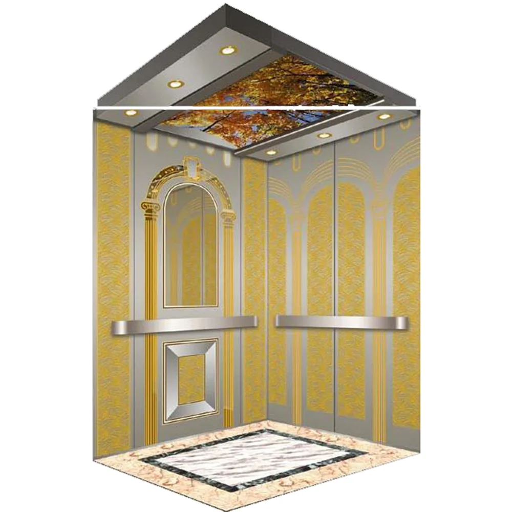 CE Eac Certified 8 Person 630kg Passenger Elevator Residential Lift Elevator