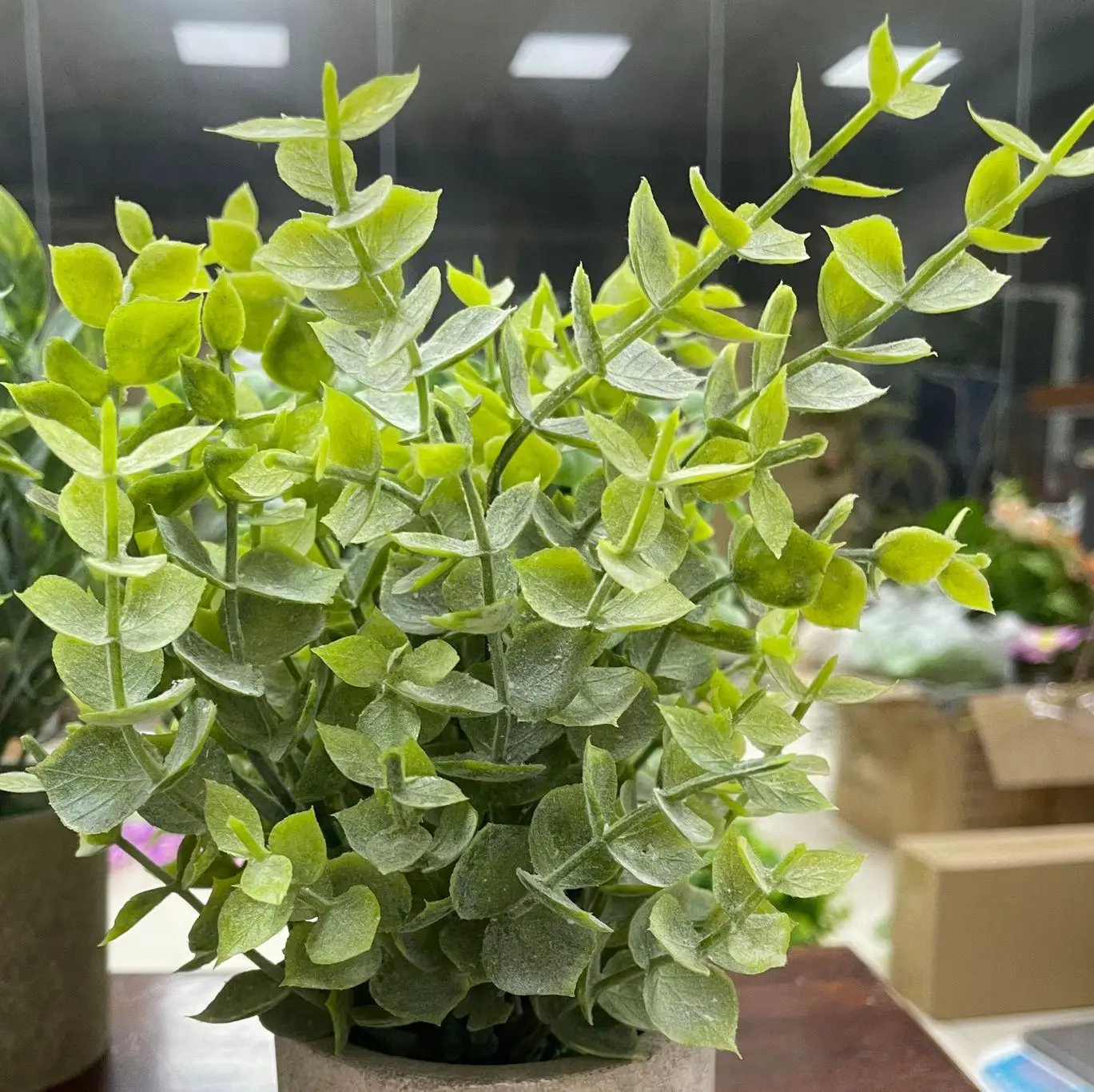 Artificial Plants Mini Greenery Plants Artificial Potted Green Plants  For Home Decoration