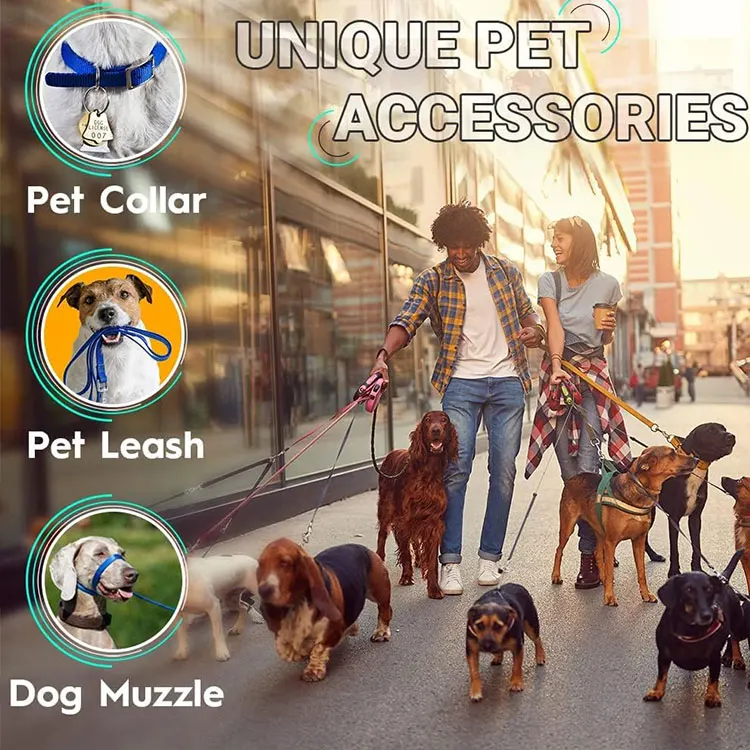 Wholesale Price Flat Flat Polyester Webbing Belt Strap For Seatbelt