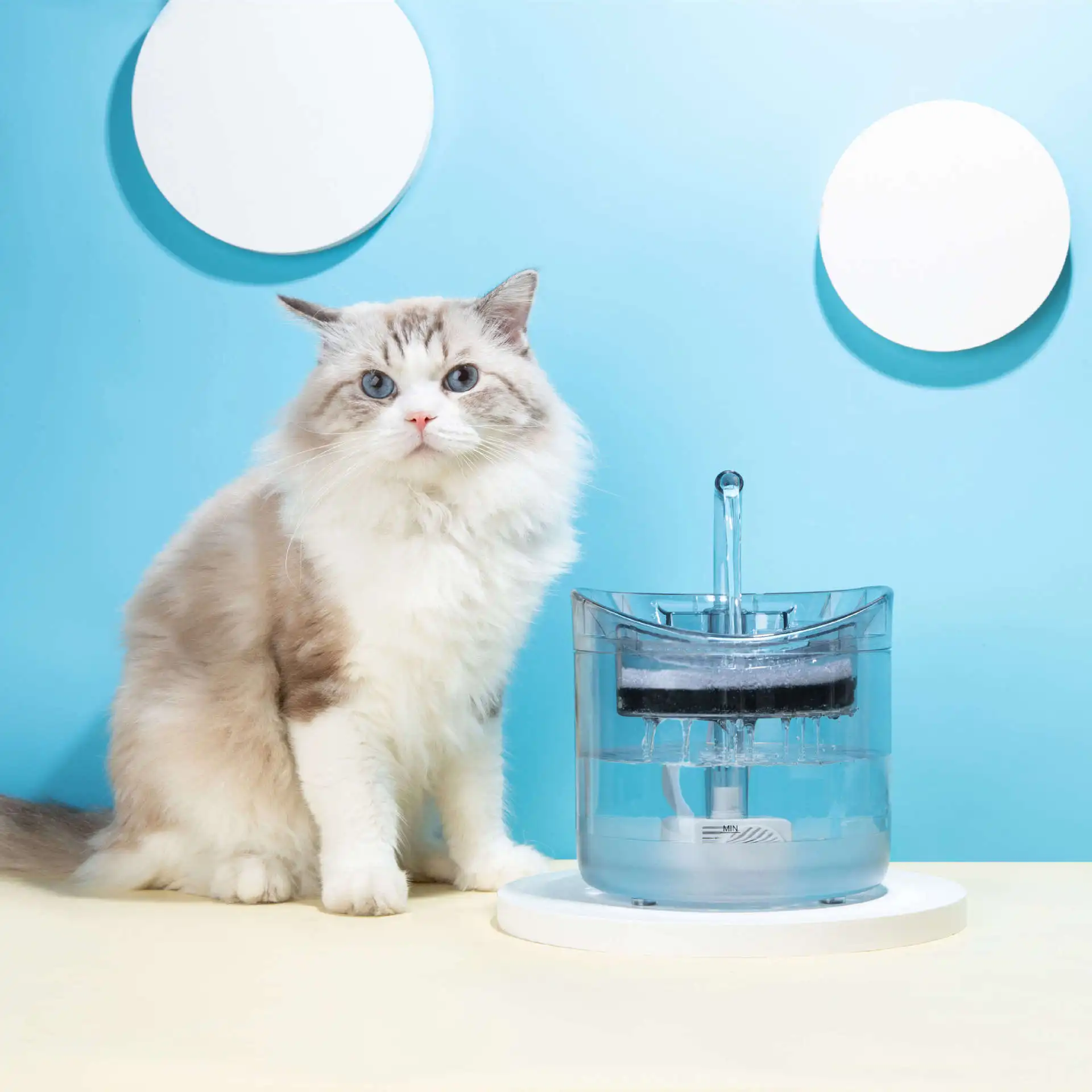Wholesale automatic rounded pet water Smart Invisible Pet Water Fountain For Cats