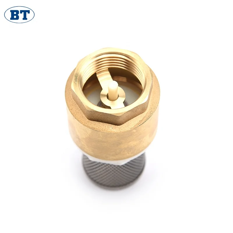 BT5003 China supplier online shop cheap price brass spring check valves with ss wall