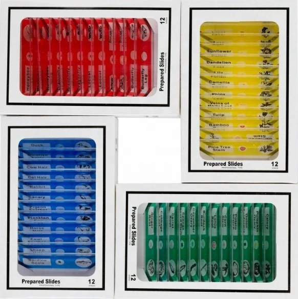 Plastic Prepared Microscope Slides for Kids 48pcs Animals Insects Plants Flowers Sample Microscope Slides with Specimens