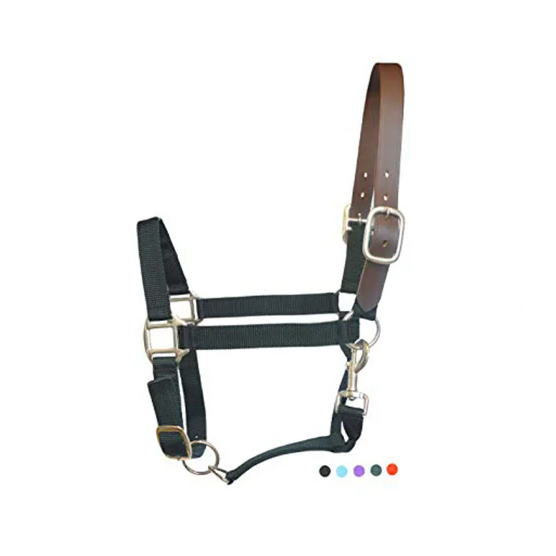 horse Halters 6