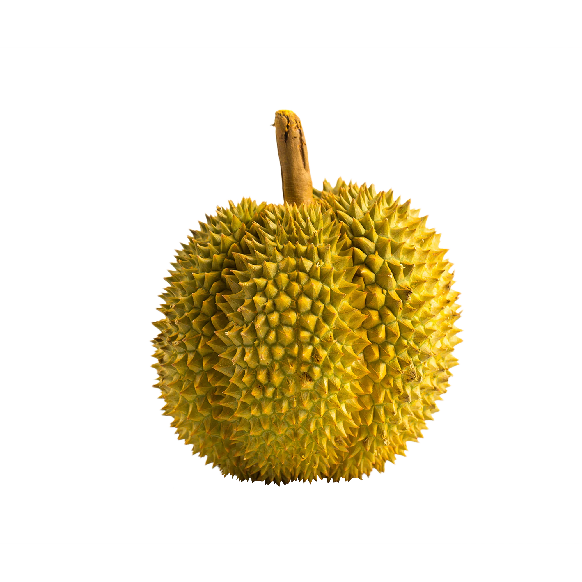 High Quality Durian Fruit from Vietnam Wholesale Durian Fresh Durian Export to EU USA Japan Korea UAE Yellow Green Top