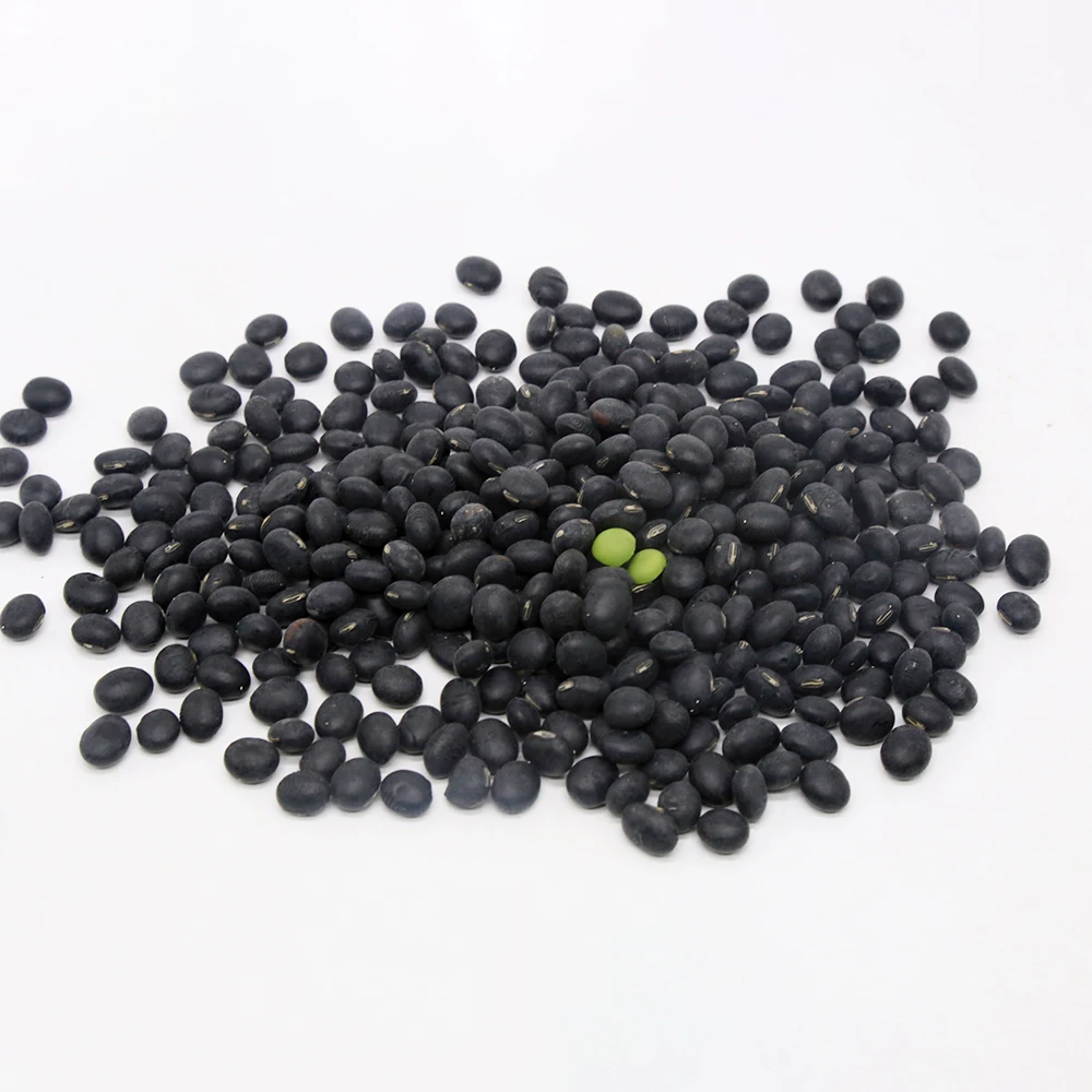 Wholesale Customized Good Quality Healthy Black Beans