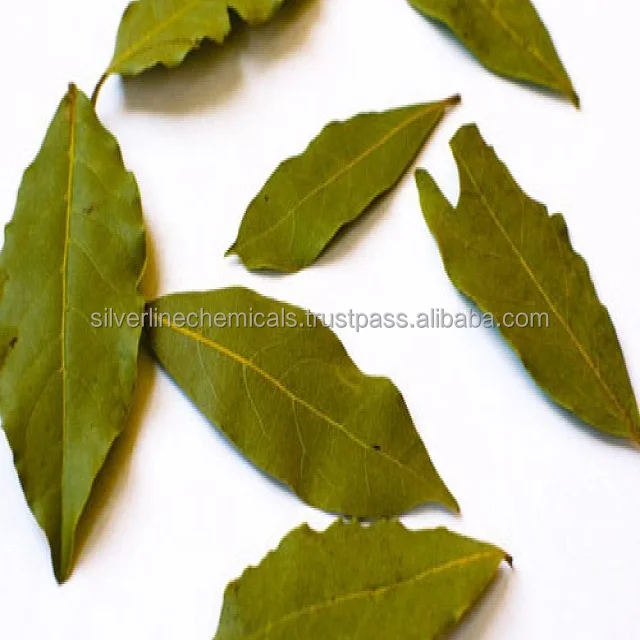 Bulk Bay Leaf Oil Bay Laurel Oil Price