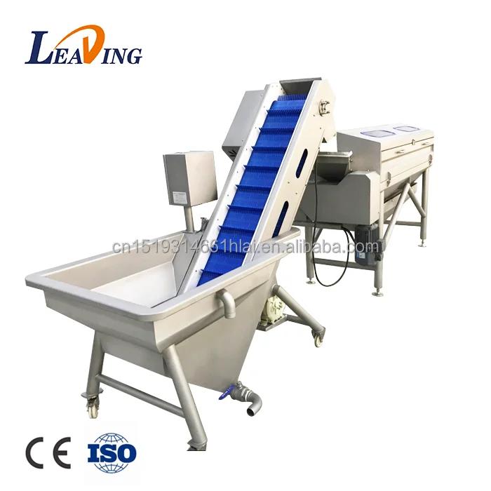 Automatic Ozone Banana Cleaner Equipment Fruit and Vegetable Washing Machine