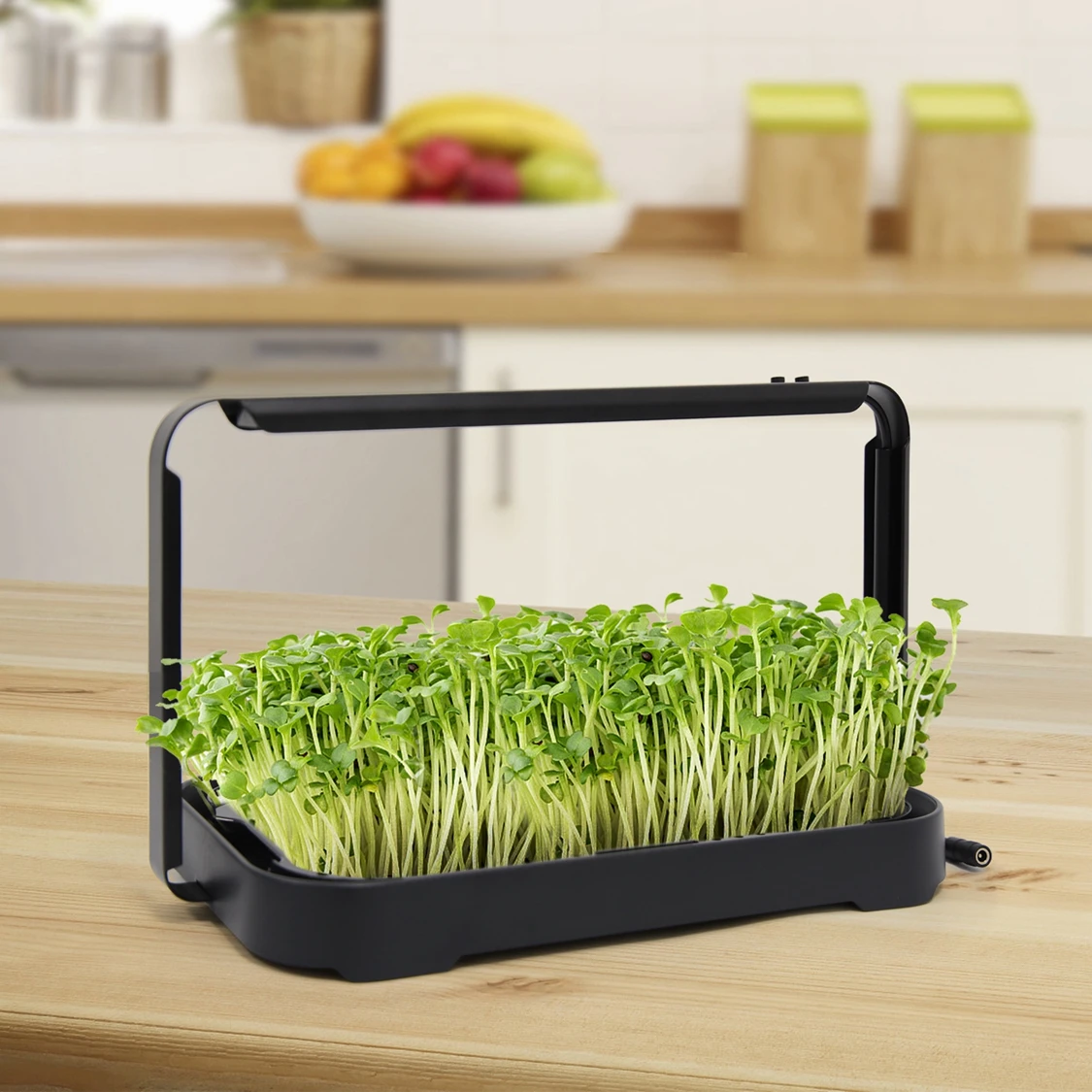 Eco-friendly Hydroponic Microgreen Tray Plastic Cover With Growing Light