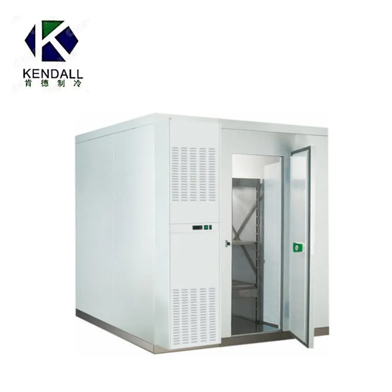 Best sell efficient 20/40ft blast walkin freezer container mobile solar power cold room