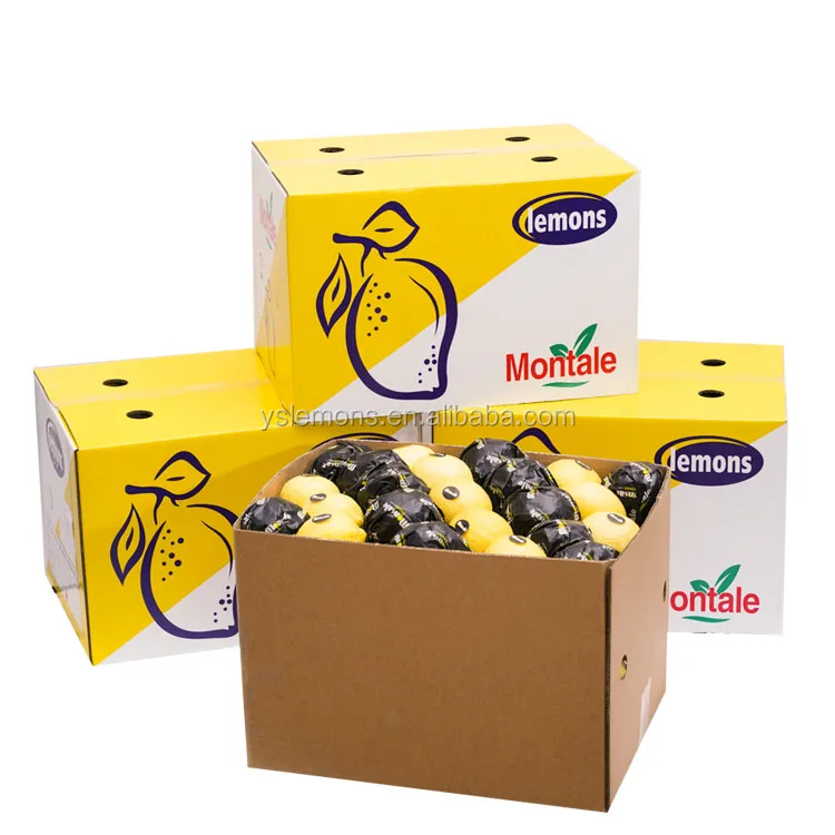 Montale Farm Directly Supply Good Quality Best Price The Organic Fresh Lemon