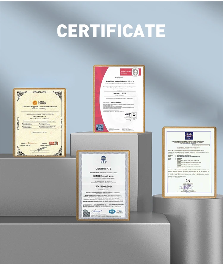 Eec 4x4 багги 250cc внедорожный Багги utv для взрослых