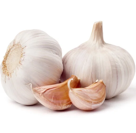 High Quality New Crop with Organic Fresh Chinese 4p Pure White Garlic Buy Chinese Garlic