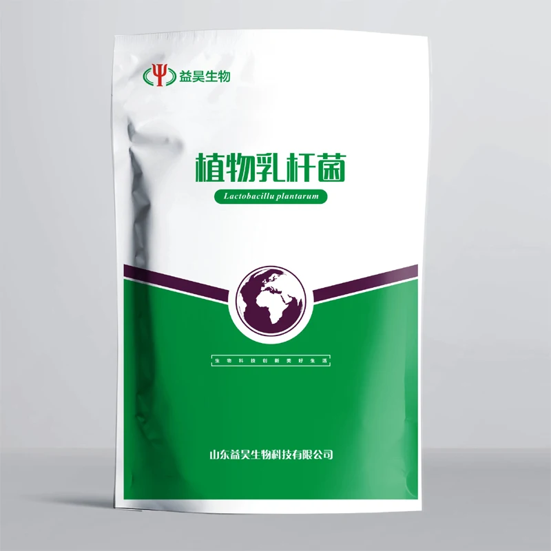 Hot Sale Best Quality With Good Price Powder Lactobacillus Plantarum Feed Additive For Animals
