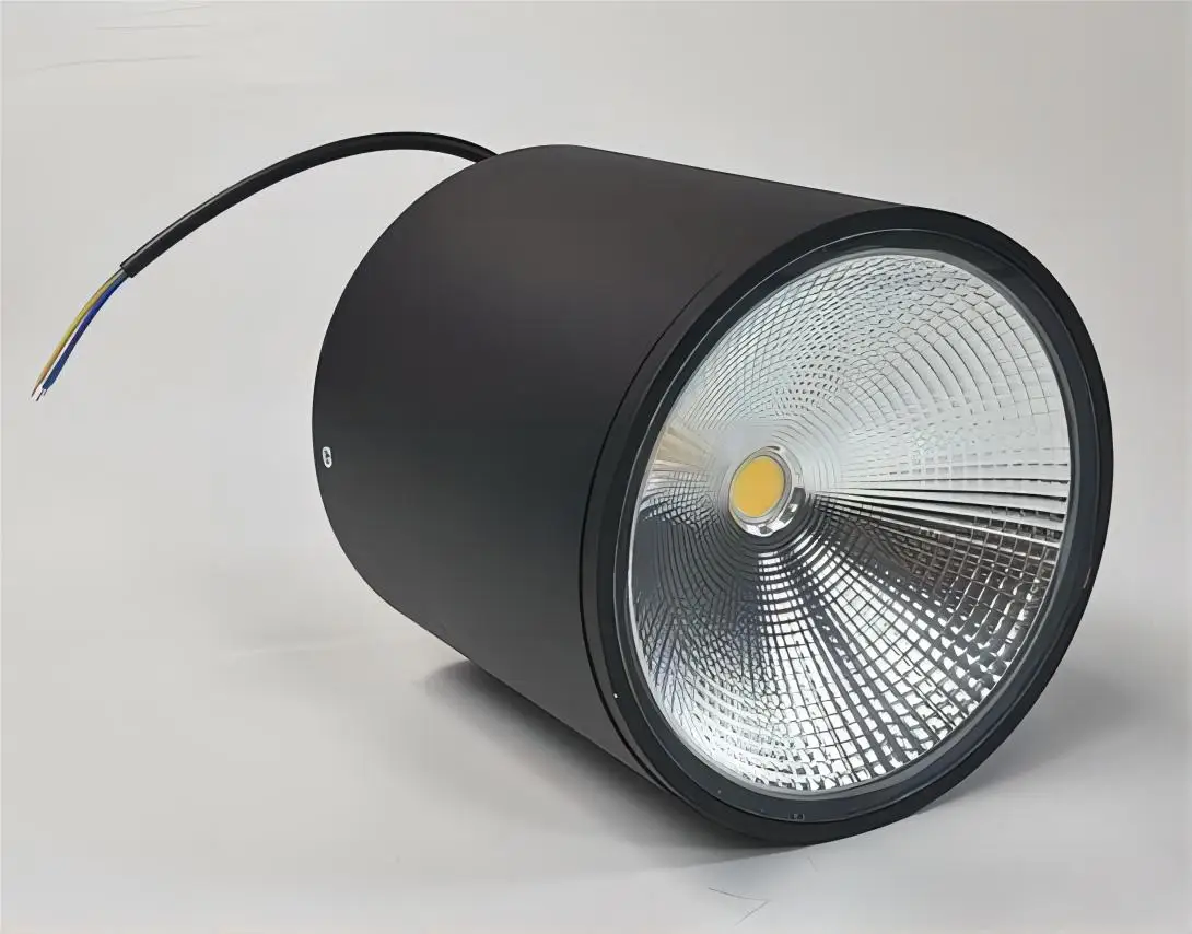 IP65 Waterproof DALI Dimmable Surface Mounted COB Downlight 5W 10W 12W 15W 18W 20W LED Downlight