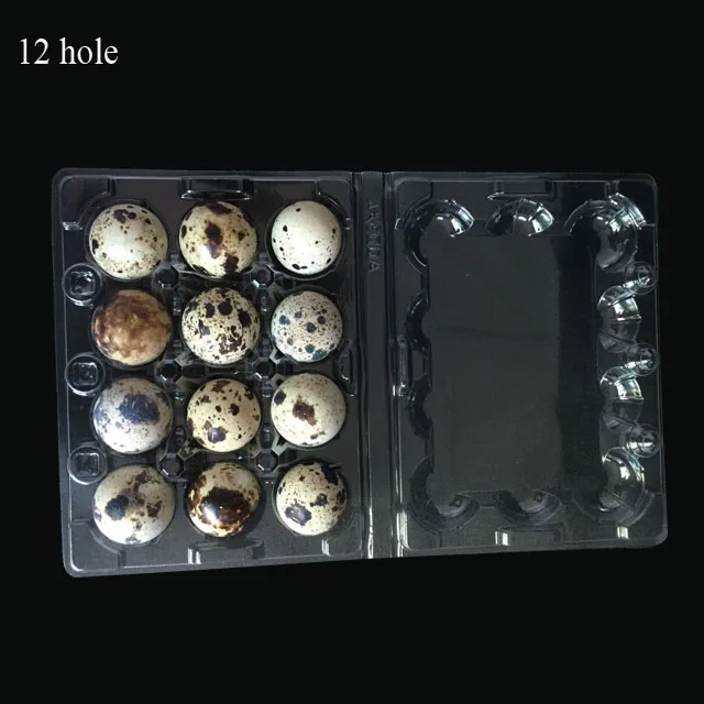Plastic wholesale egg tray carton egg cartons quail egg carton for sale