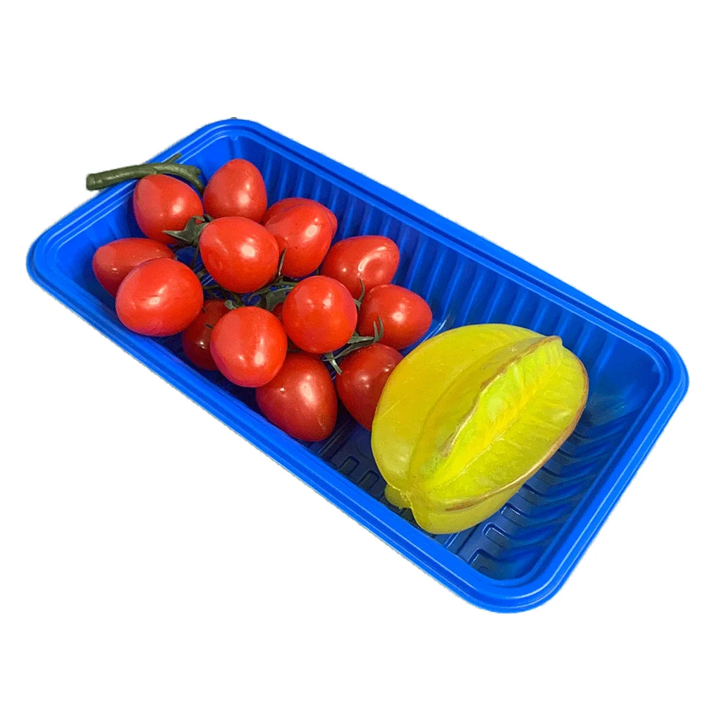 Customized recyclable blue PP plastic food tray