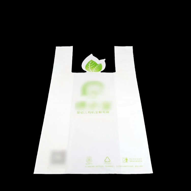 Balenciaga Eco Friendly Packaging Branded Retail shopping bag Thank You bags shopping bag Work Home Packing Products