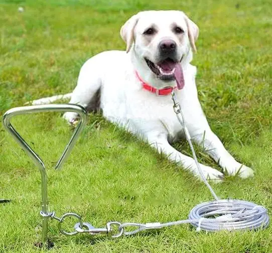 Choke chain Metal Snake Chain Pet Show Slip Collar Choker for Training Walking