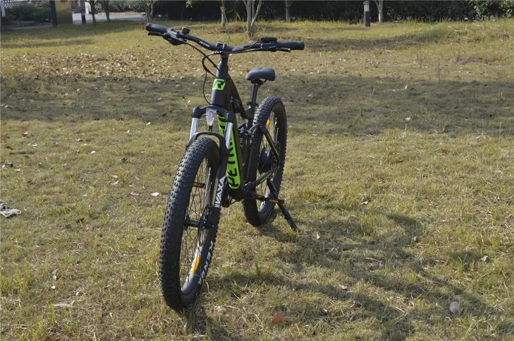 PETRIGO Retail Fat Tire Electric Mountain Bike Bicycle Full Suspension 36V/48v 250W/500w Brushless Motor Rear Driving 7 speed