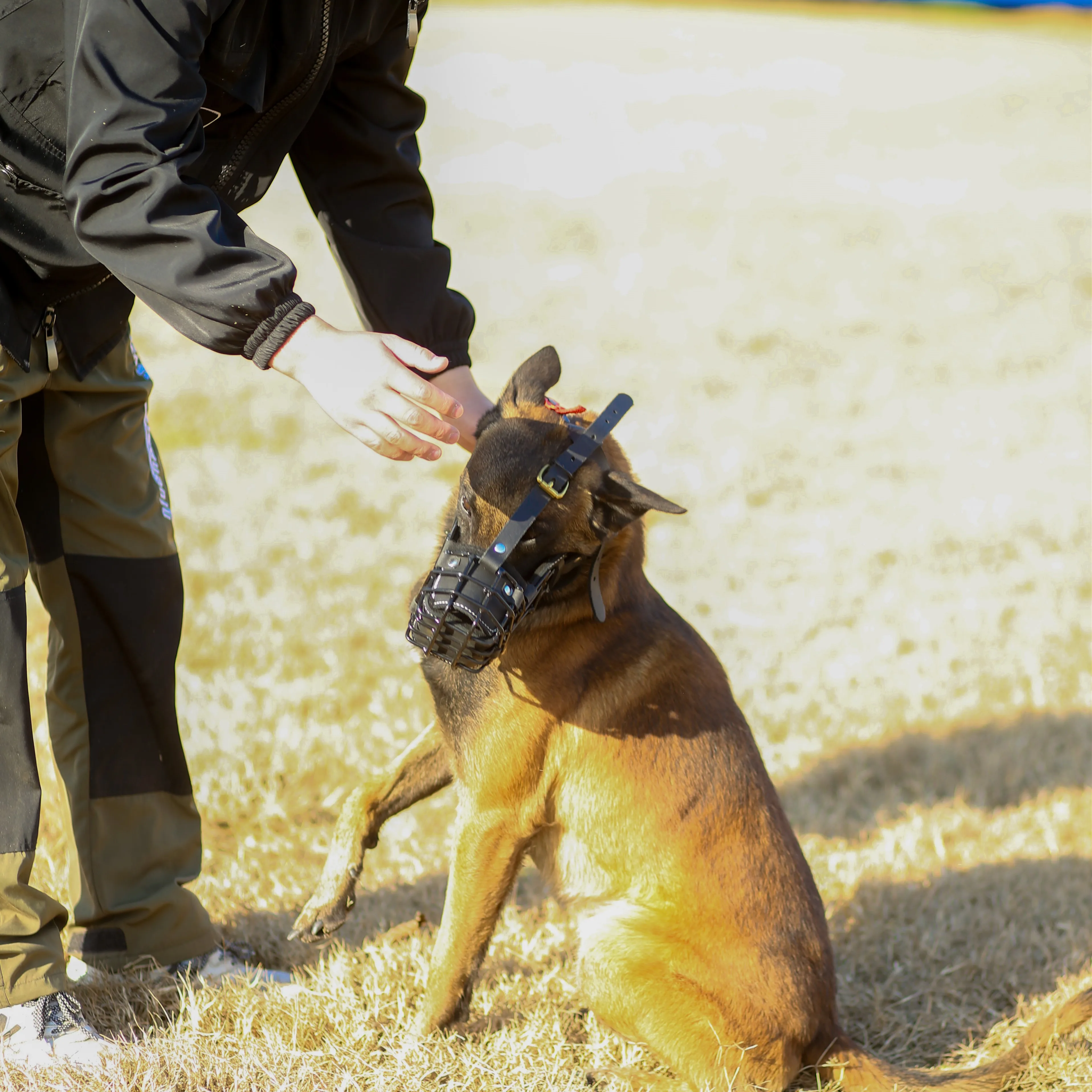 
k9 dog muzzle bite suit 
