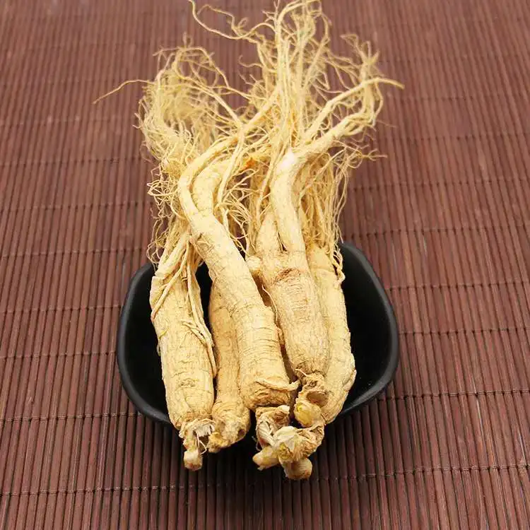 Free Samples Panax Root Korea Honey Red Ginseng Ginseng Korea