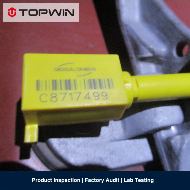 Container Loading Inspection / Container Loading Check / Container Loading Supervision