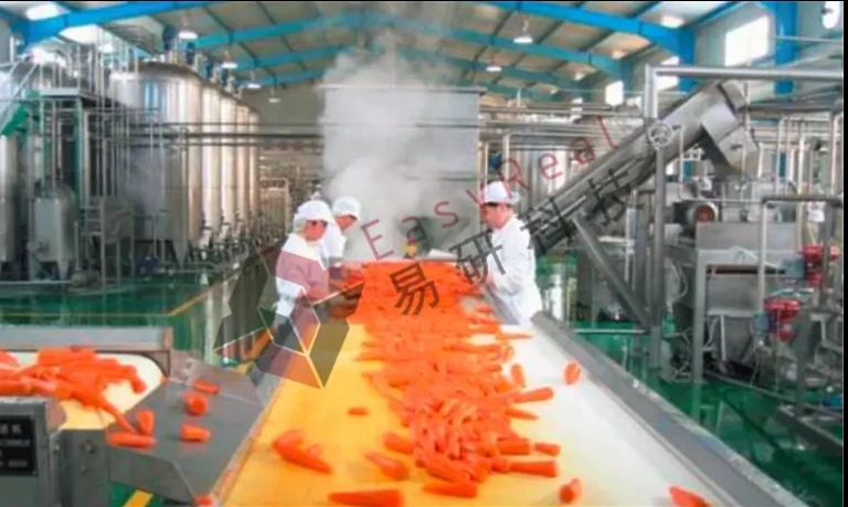 Carrot juice extraction equipment for maximizing yield and preserving flavor in industrial juice production