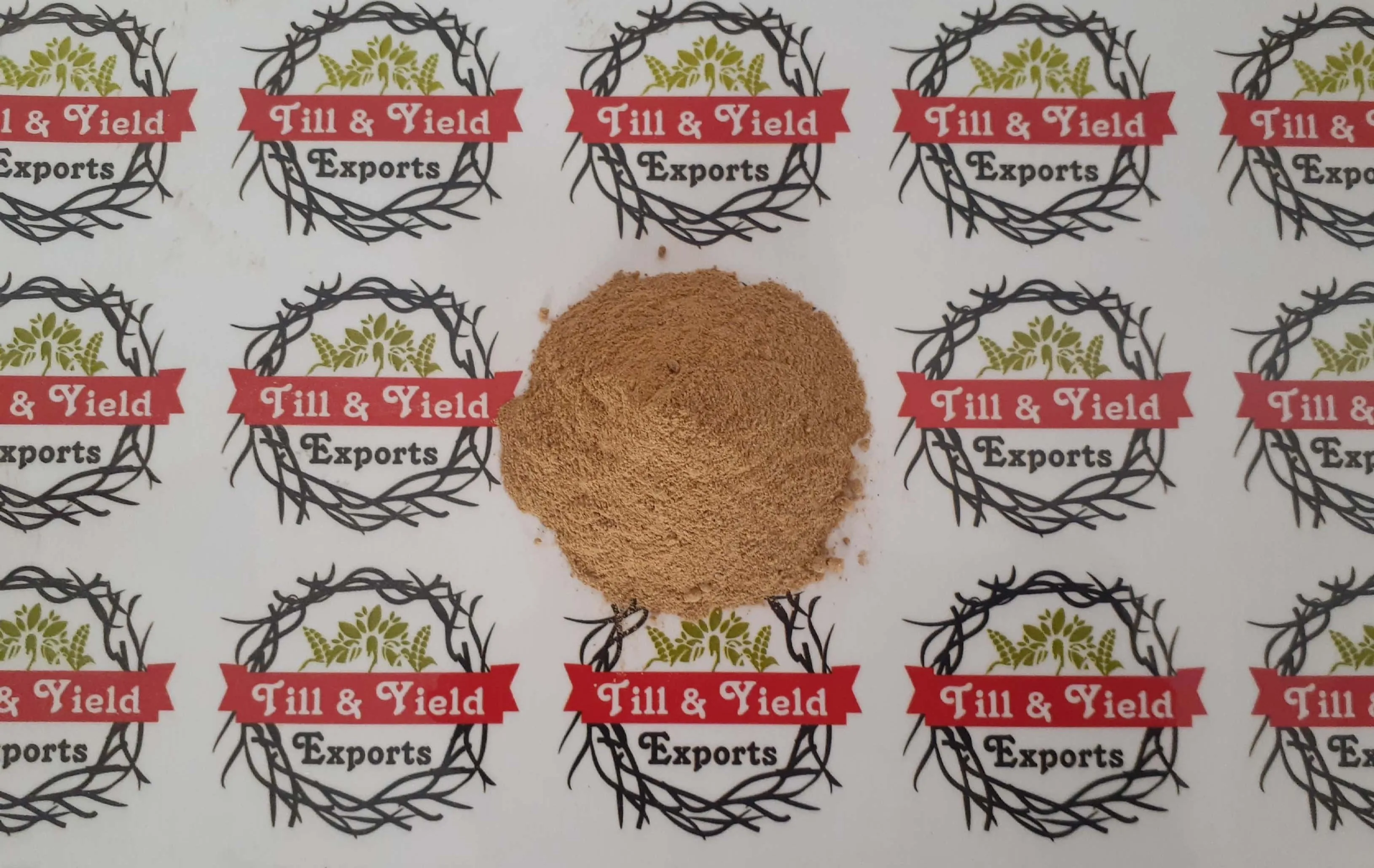 High Quality Natural Organic Ginger Extract Powder 1% by HPCL Ginger Root Extract Powder