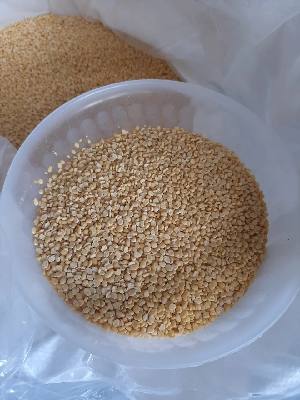 2022 Made in Viet Nam Peeled/Bulk Hulled Skinless Moong Split Peeled Dried Huskless Green Mung Bean ( Big Size )