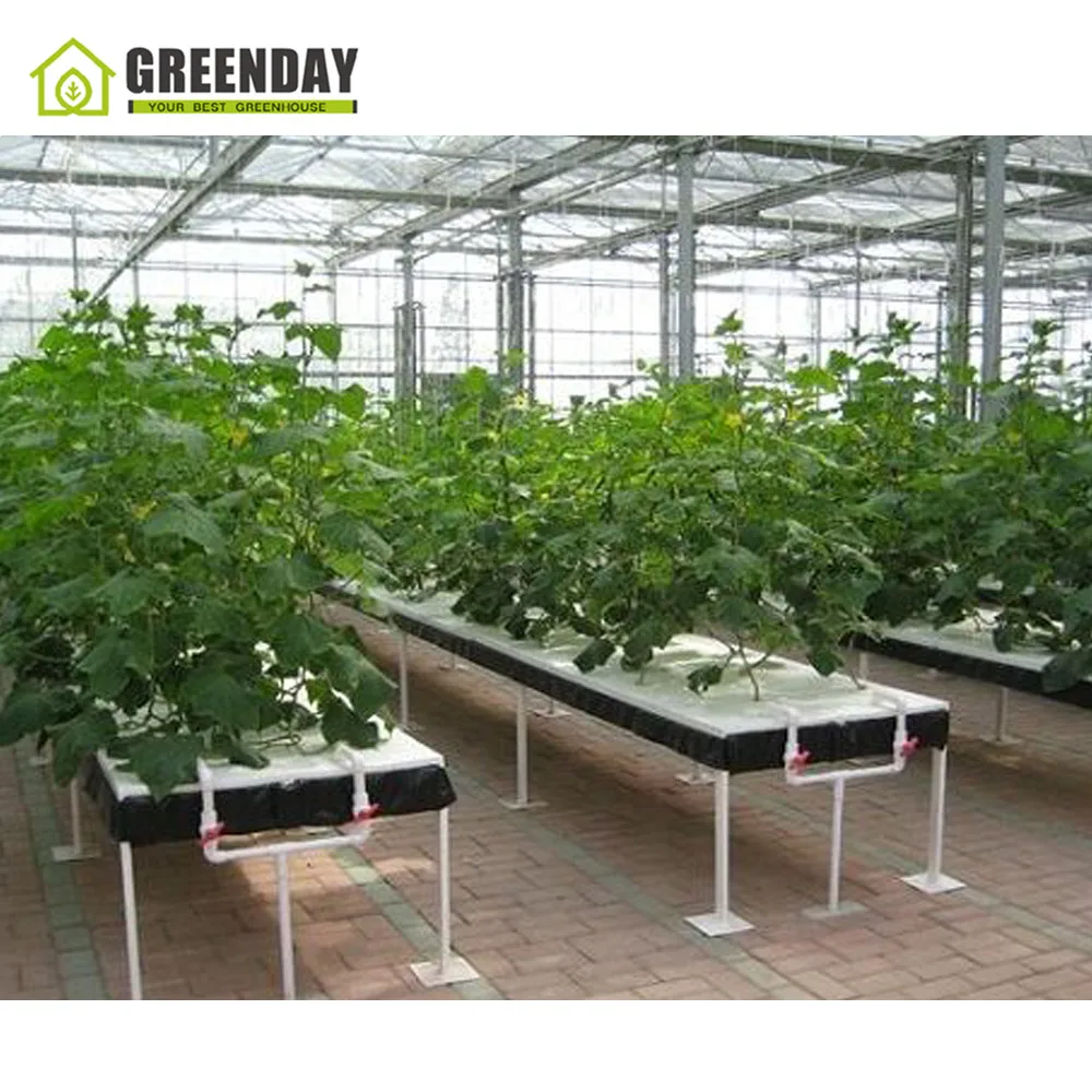 
GREENDAY High quality steel pipe structure hoop green house tunnel greenhouse 