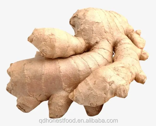 Price of export bulk wholesale fresh delicious and healthy ginger in China