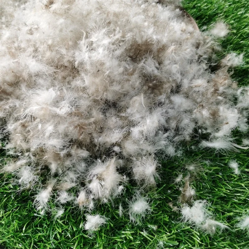 High Quality Natural Washable Comforter Duvet Filling Material 95% Grey Raw Duck Feather and Down