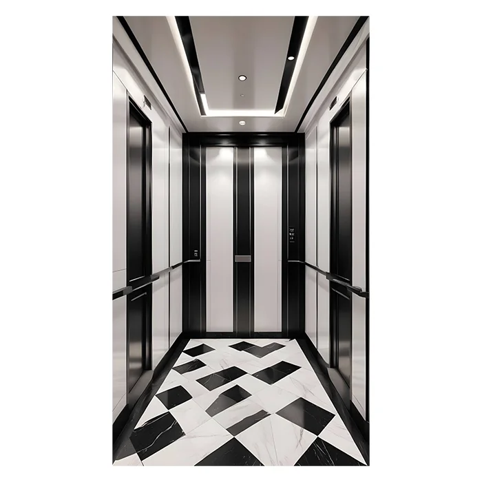 Starlight Car Ceiling ZLE Specfical Cabin  Home Elevator Passenger lift