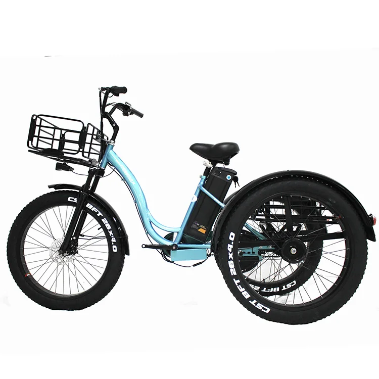 Electric fat Bike 3 Wheel Cargo Bicycle For Adult Electric Trike Tricycle