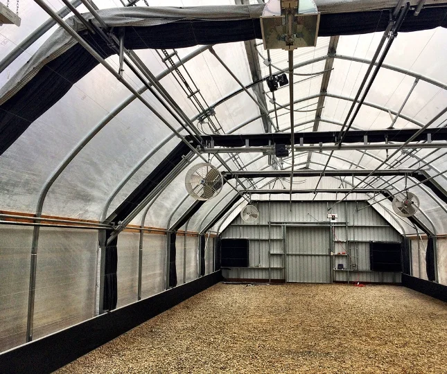 China Factory Outlet Single-span Greenhouses Customized One-Stop  Polytunnel Farming High Tunnel Agriculture Greenhouse