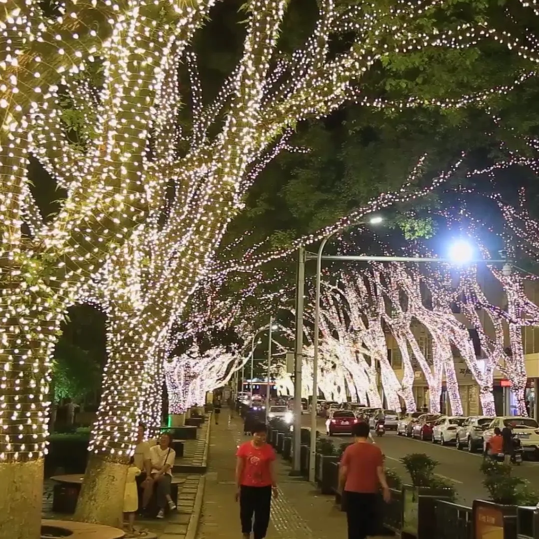 Customize IP68 240leds String Light Remote Control Christmas Wedding Decoration Led String Lighting Ramadan Party